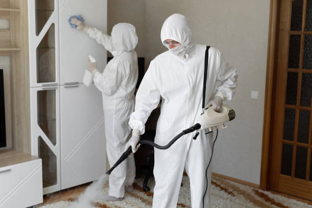 Best Specialized Mold Remediation in Creve Coeur, MO